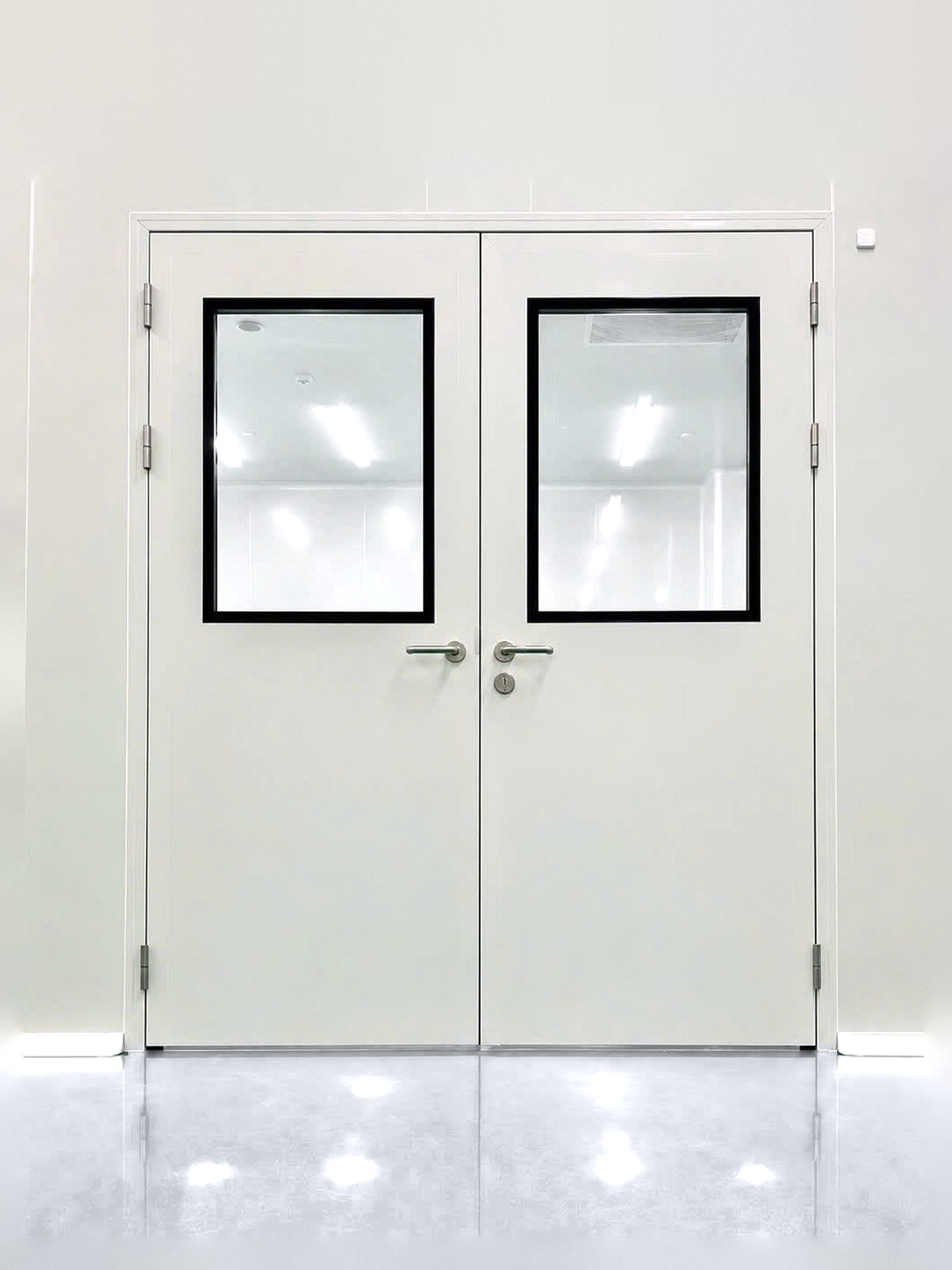 Cửa Panel phòng sạch 2 cánh SK-D01B